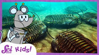 Mysterious Trilobites  The History of Life  SciShow Kids [upl. by Schonthal]