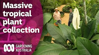 Exploring a massive collection of rare tropical plants  Discovery  Gardening Australia [upl. by Tryck]