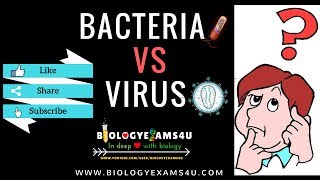 Difference between Virus and Bacteria Virus vs Bacteria [upl. by Lesab]