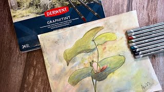 Derwent Graphitint Pencils Review [upl. by Annahsohs]