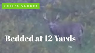 Indiana Early Season Bowhunting  Sneaking into 12 yards of a BIG Buck [upl. by Frazer]