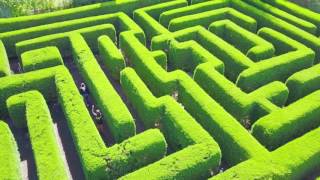 HARPERS MANSION MAZE  SYDNEY AUSTRALIA [upl. by Moyra]