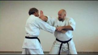 Practical Kata Bunkai Naihanchi  Tekki Shodan Applications [upl. by Nyraf]