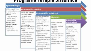 Terapia Sistémica presentaciónwmv [upl. by Sidoeht361]