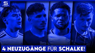 Kein Stürmer im Kader Diese Spieler muss Schalke als Ersatz für Topp amp Terodde holen  S04 Analyse [upl. by Dlareme465]