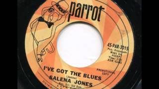 SALENA JONES  Ive got the blues  PARROT [upl. by Ataynik218]