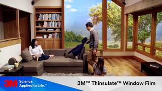 3M™ Thinsulate™ Window Film [upl. by Eniruam455]