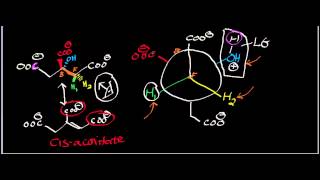 Biochemistry  Aconitase Mechanism Part 22 [upl. by Rochelle]