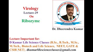 Ribozyme Type and Function by Dr Dheerendra Kumar [upl. by Vaclava397]