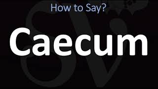 How to Pronounce Caecum CORRECTLY [upl. by Adlitam]