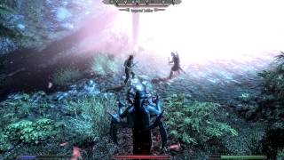 Dark Maneuvers Skyrim Mod  Coldharbours Mist [upl. by Mit]