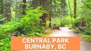 【4K】CENTRAL PARK  BURNABY  Walking the Footpaths and Trails of Central Park Burnaby BC  POV [upl. by Iveson]