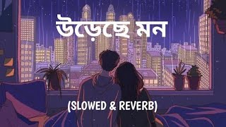 Ureche Mon Slowed  Reverb  Arijit Singh  Boss 2  Bengali Lofi Song  10 PM BENGALI LOFI [upl. by Krischer]