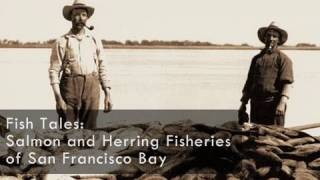 Saving the Bay  Fish Tales Salmon and Herring Fisheries of San Francisco Bay [upl. by Reger]