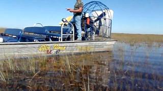 Los Everglades pantano de florida con el Paliño y el tio Wiwi [upl. by Carberry]