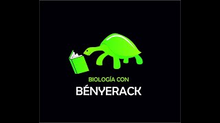 Genética III sistemas sanguíneos codominancia y dominancia incompleta [upl. by Coretta]