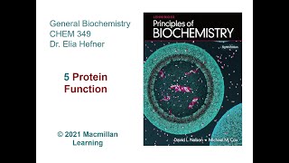 Chapter 5  Protein Function Sections 51 amp 52 [upl. by Hizar]