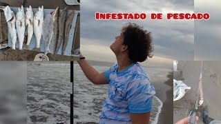 PESCA VARIADA EN MONTE HERMOSO 3 de octubre pesca fhishing mar [upl. by Amrak978]