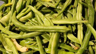 Snapping beans and gratin zucchini LIVE  NOW IN REPLAY [upl. by Rozella]