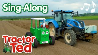 Potato Planting Song 🥔  Tractor Ted SingAlong 🎶  Tractor Ted Official Channel [upl. by Adachi]