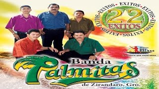 LAS CUEVAS DE MI RANCHO BANDA PALMITAS EN VIVO [upl. by Onfre]