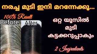 ഒറ്റ യൂസിൽ മുടി കട്ടക്കറുപ്പാകും വീട്ടിലുള്ള 2 സാധനങ്ങൾ മാത്രം മതി  Natural Hair dye  Hair care [upl. by Anhavas]