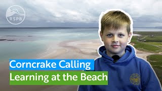 Join children from the Isle of Lewis as they enjoy a day on the beach learning about Corncrakes [upl. by Charlotte]