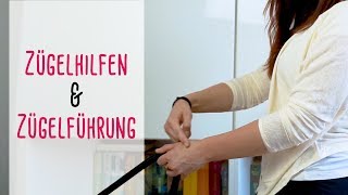 Zügelhilfen amp Zügelführung Grundlagen und Tipps zum Reiten mit feiner Hand [upl. by Aivun]