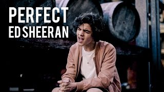 Perfect  Ed Sheeran Cover by Alexander Stewart [upl. by Oremor]