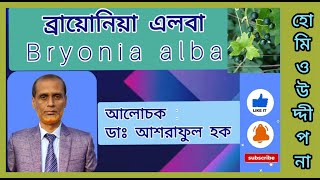 ব্রায়োনিয়া এলবা  ডাঃ আশরাফুল হক  Bryonia alba  Dr Asraful Hoque  Official  Homeo Uddipana [upl. by Mulac]