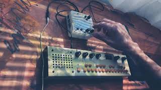 Monome Norns Shield  mlr  Critter amp Guitari Organelle M  ambient jam [upl. by Llehsar]