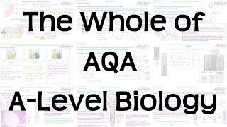 The Whole of AQA ALevel Biology  Exam Revision for Papers 1 2 and 3 [upl. by Franek]