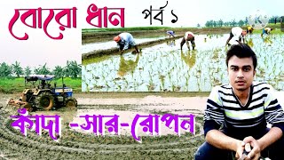 বোরো ধানের কাদা তৈরি সার ও রোপন পদ্ধতিBoro dhan casইরি ধানের অধিক ফলন পেতে এই ব্যবস্থাগুলি করুন [upl. by Giralda244]