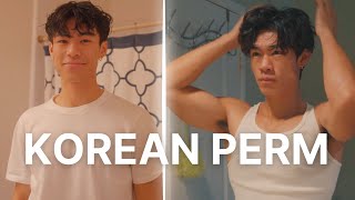 Korean Perm What You Need to Know [upl. by Onaivatco]