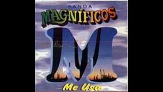 banda magnificoschamego [upl. by Ocer]