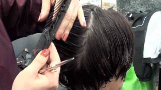 HAIRCUTTING Layer haircut with scissors [upl. by Savil]