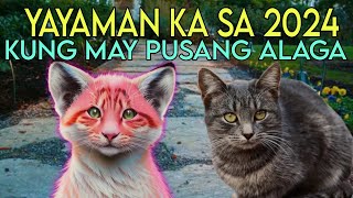 YAYAMAN KA SA 2024  KUNG MAY PUSA KANG ALAGA [upl. by Ycnalc534]