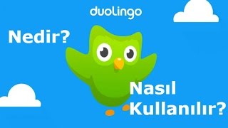 Duolingo Nedir Nasıl Kullanılır [upl. by Airretnahs]