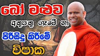 බෝ මළුව පිරිසිදු කිරිමෙි විපාක welimada saddaseela therubudubana bana බන කවි trending [upl. by Buke]