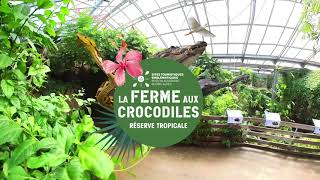 2024  Bienvenue à La Ferme aux CrocodilesRéserve Tropicale [upl. by Tommy]