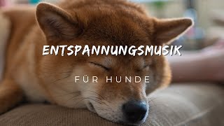 Entspannungsmusik für Hunde  Musik für Hunde zur Beruhigung und zum Einschlafen [upl. by Vahe509]