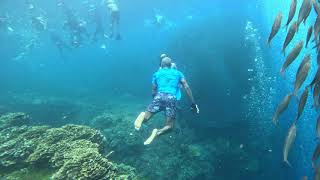 Passport Bro Digital Nomad Freediving Experience 13 [upl. by Lilah]