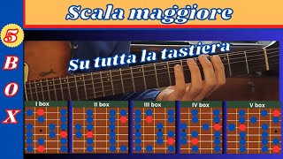 5 box scala maggiore chitarra [upl. by Vine]