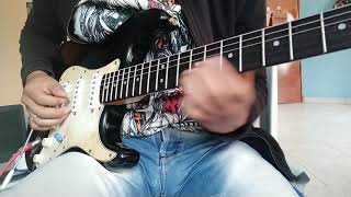 InteresadaNectar guitarcover [upl. by Teilo]