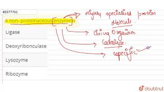 A non proteinaceous enzyme is [upl. by Hedvige]