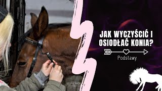 JAK WYCZYŚCIĆ I OSIODŁAĆ KONIA  wersja podstawowa [upl. by Anileda]