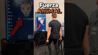 ¿De qué animal tienes la fuerza🦁 [upl. by Weatherby]