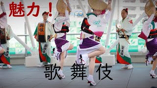 阿波踊りの魅力！ 歌舞伎連 アミコドーム [upl. by Roy]