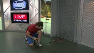 Standing leg adduction with Resistance Bands [upl. by Mable]