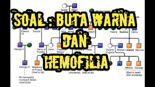 Soal Buta Warna dan Hemofilia HOTS Kelas 12 [upl. by Raynor]